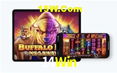 Experiência VIP 14Win